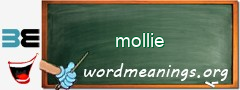 WordMeaning blackboard for mollie